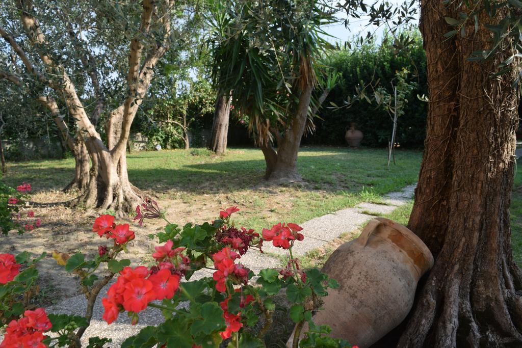 La Convenienza Bed & Breakfast Uliveto Terme Luaran gambar