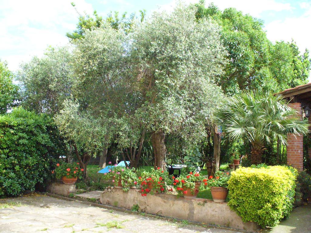 La Convenienza Bed & Breakfast Uliveto Terme Luaran gambar